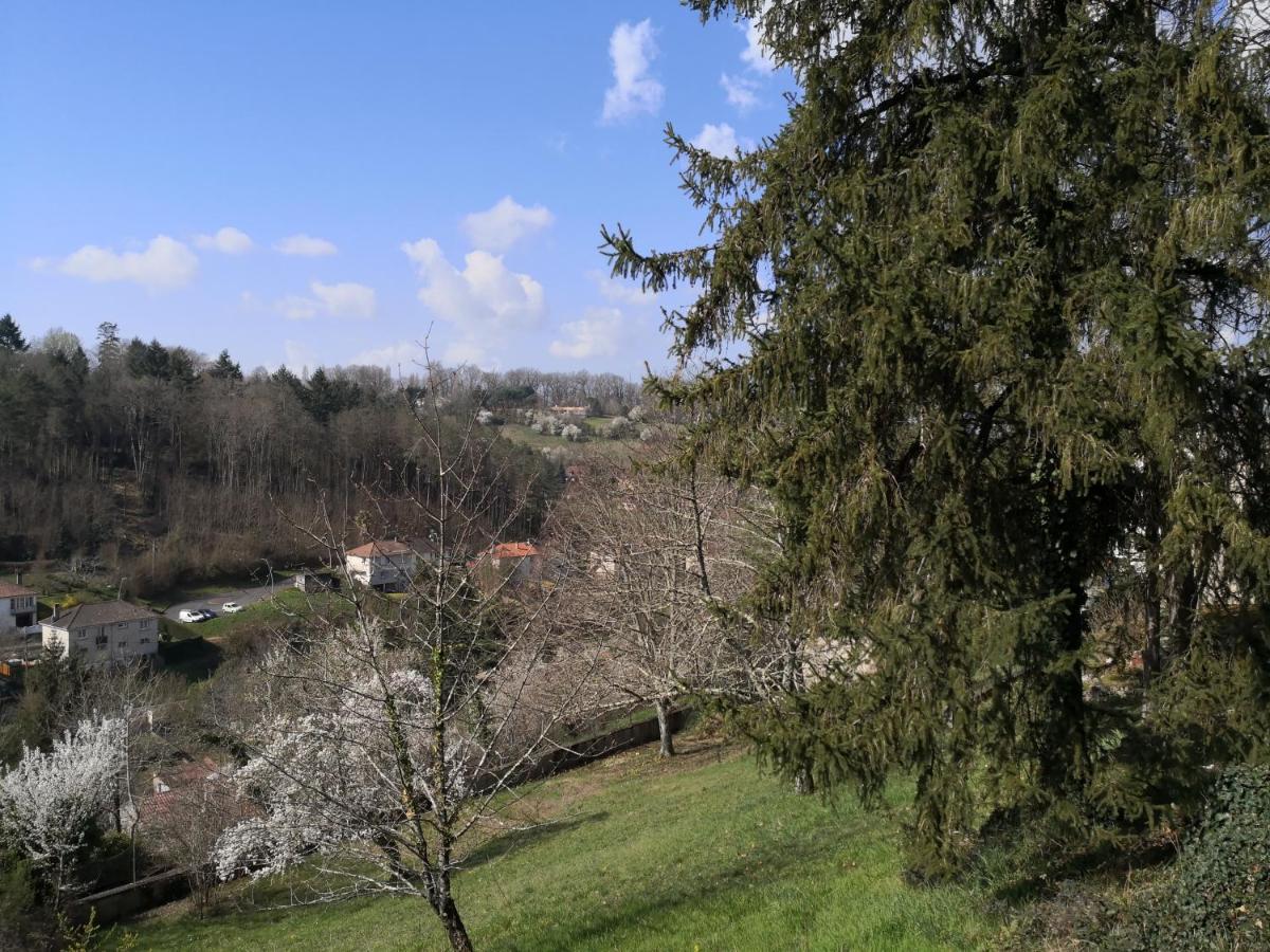Chambre Meublee Avec Vue Panoramique A Perigueux Sanilhac  エクステリア 写真