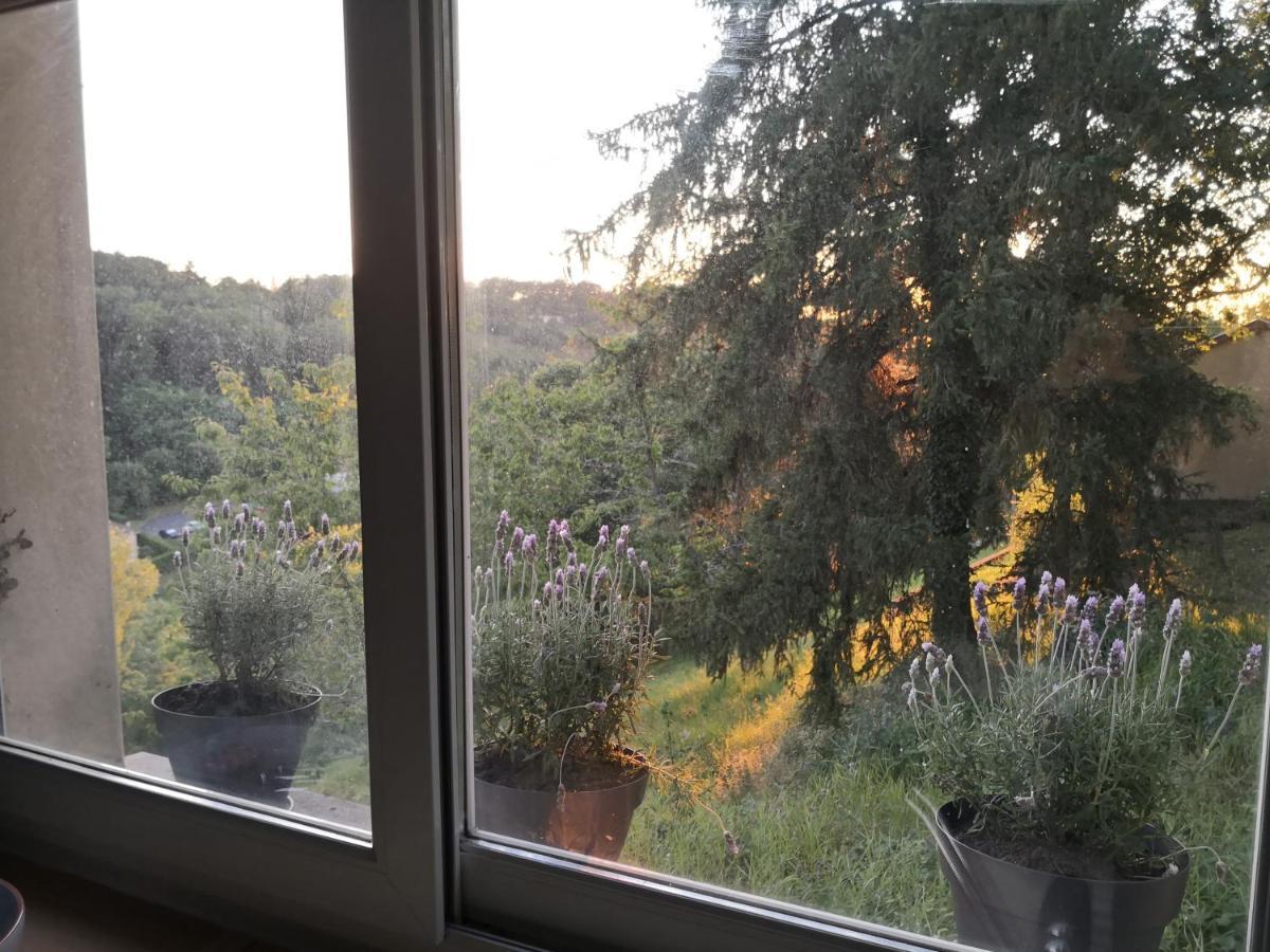Chambre Meublee Avec Vue Panoramique A Perigueux Sanilhac  エクステリア 写真